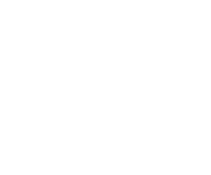 الايدي الماهرة