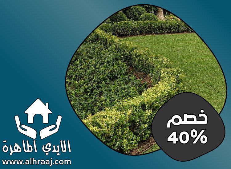 تركيب عشب صناعي في عجمان
